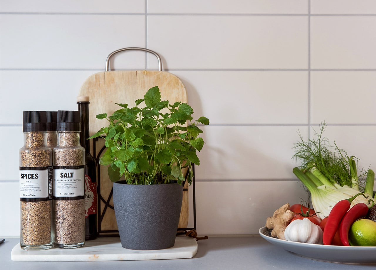 Kryddväxter, salt och peppar, grönsaker på bänskiva i kök.