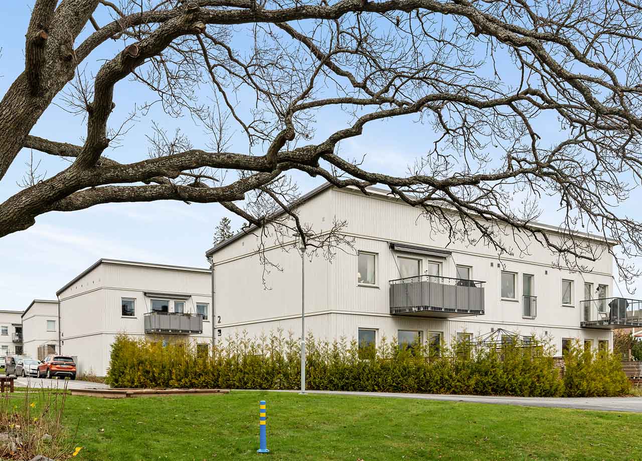 Vita lägenhetshus i två våningar med trädgrenar i förgrunden