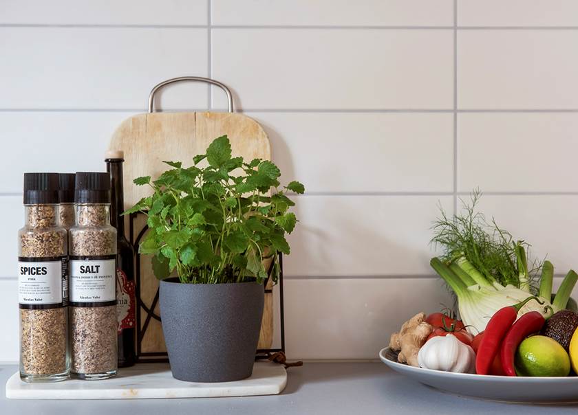 Kryddburkar och kryddväxt på marmorbricka bredvid fat med grönsaker i rött, gult och grönt Kryddburkar och kryddväxt på marmorbricka bredvid fat med grönsaker i rött, gult och grönt