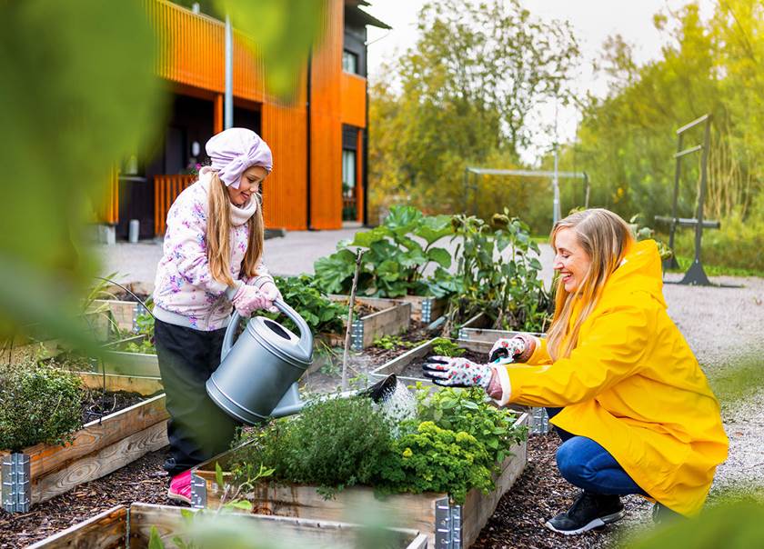 En flicka och en kvinna vid odlingslådor i ett BoKlok bostadsområde