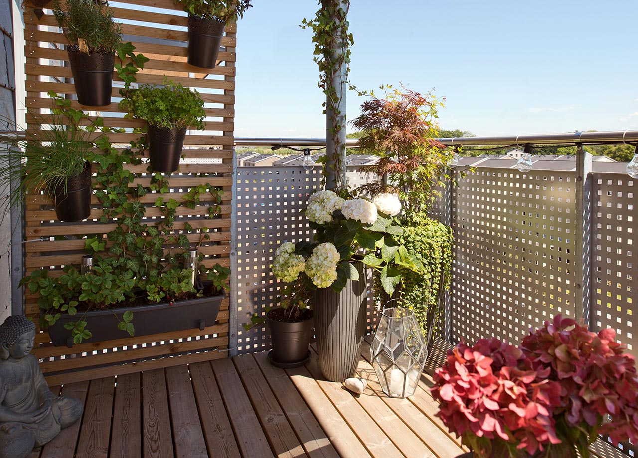 Spaljé med växter och blommor i kruka på balkong.