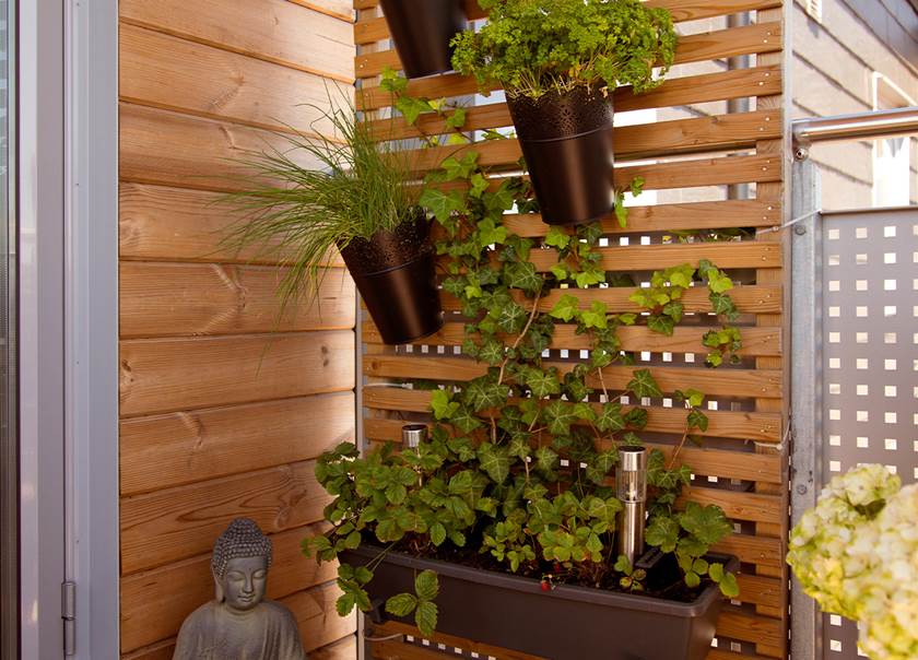 Gröna växter upphängda på spaljé på balkongen i BoKlok lägenhet hemma hos Malmborg 