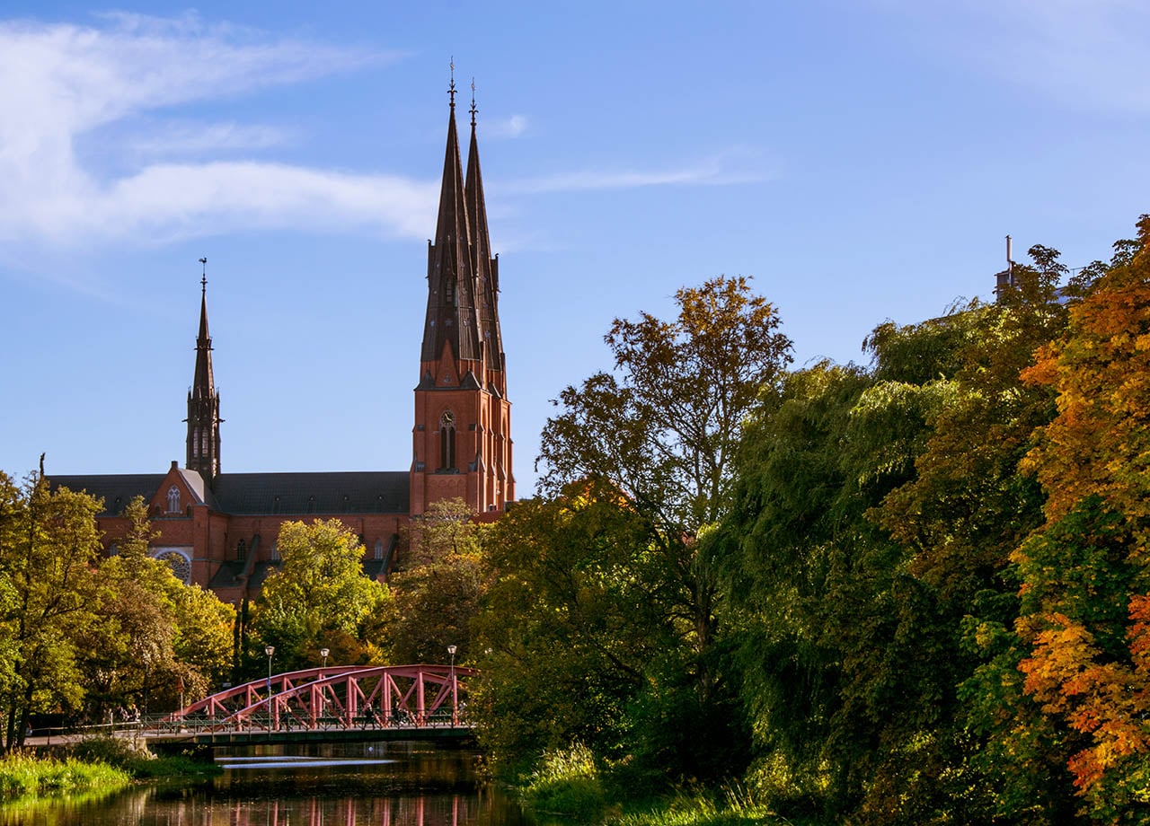 Uppsala domkyrka med lövträd.