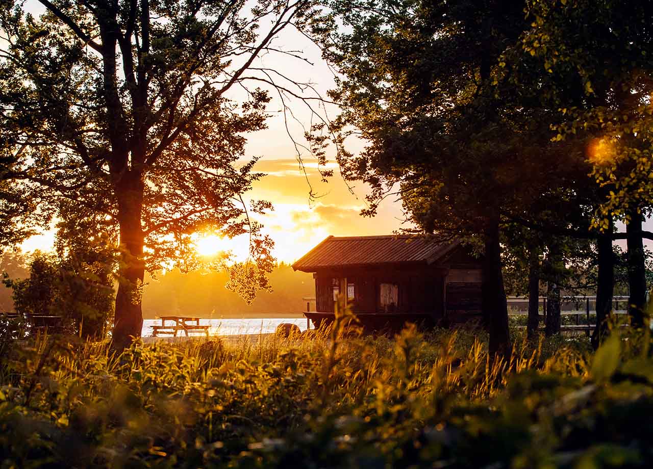 Kronobergs natur, fotograf Alexander Hall