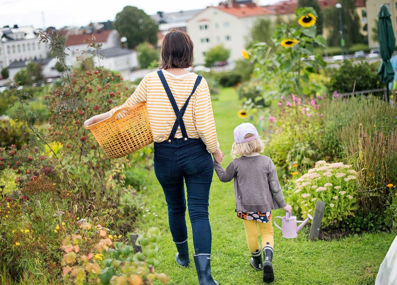 Stadsodling Växjö, fotograf Lina Alriksson